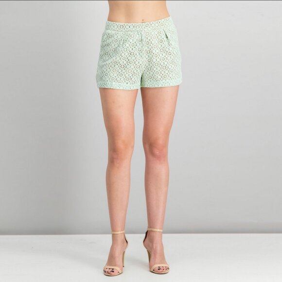 Victoria Beckham x Target Pleated Lace Short in Mint - Picture 2 of 16